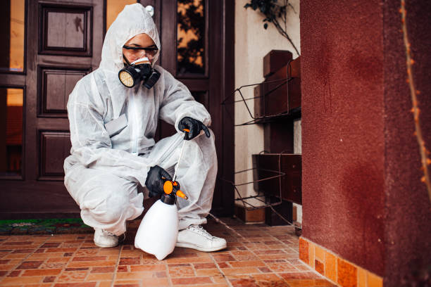 Reliable Cockroach Control contractor in Leonardtown, MD by Nex Pest Control